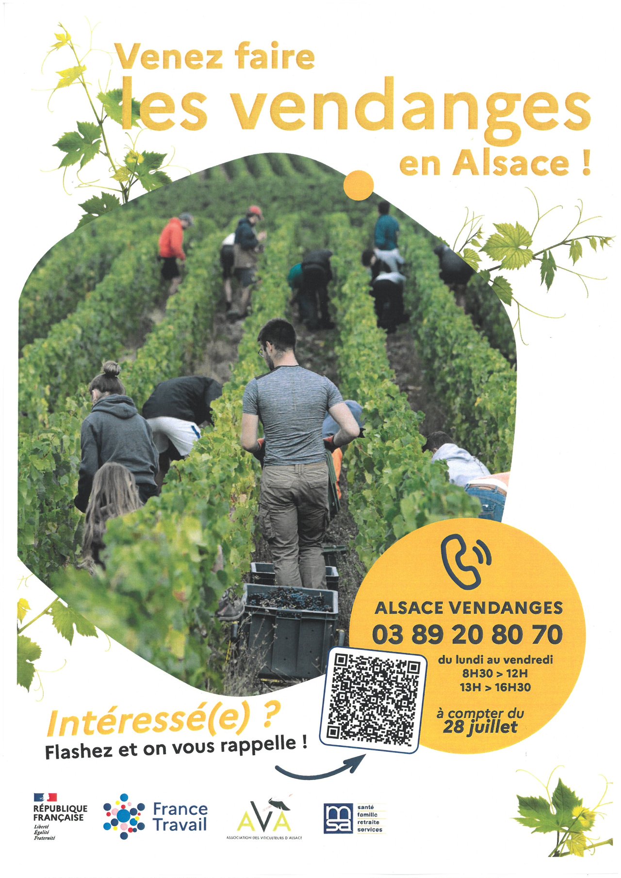 Participez aux vendanges 2026 !